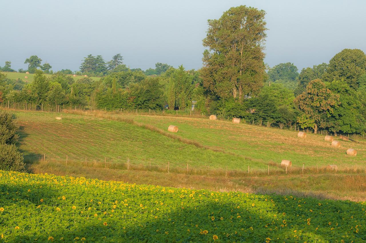Les Maisons Du Golf D'Armagnac Eauze Εξωτερικό φωτογραφία